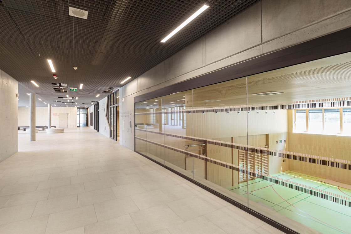 Ein Foto von Paul Sebesta