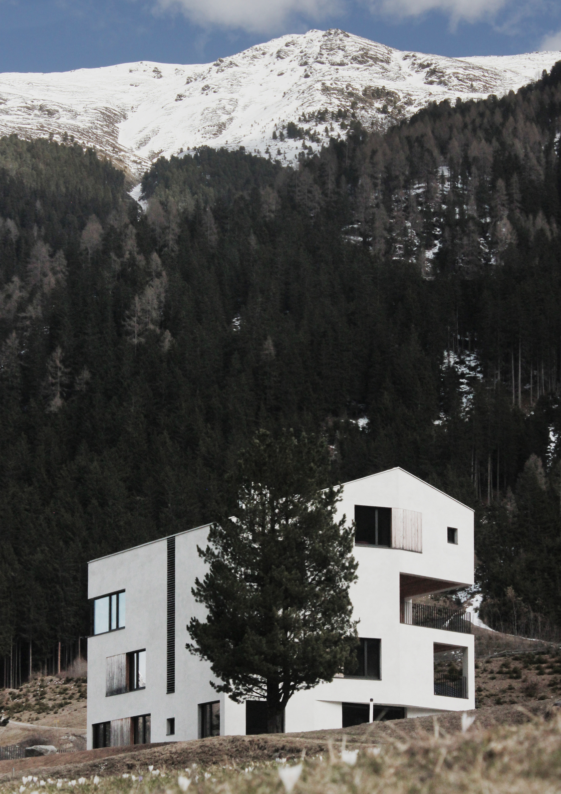 Ein Foto von Veronika Acher