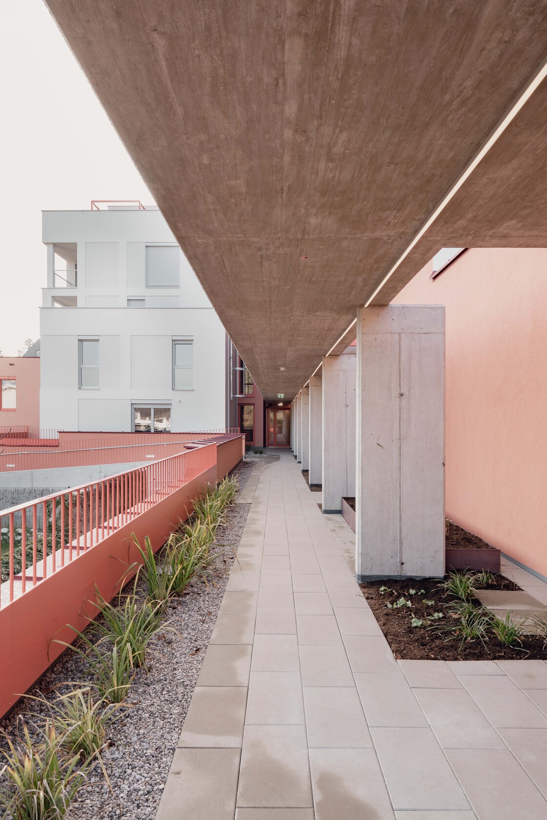 Ein Foto von Julia Bertermann