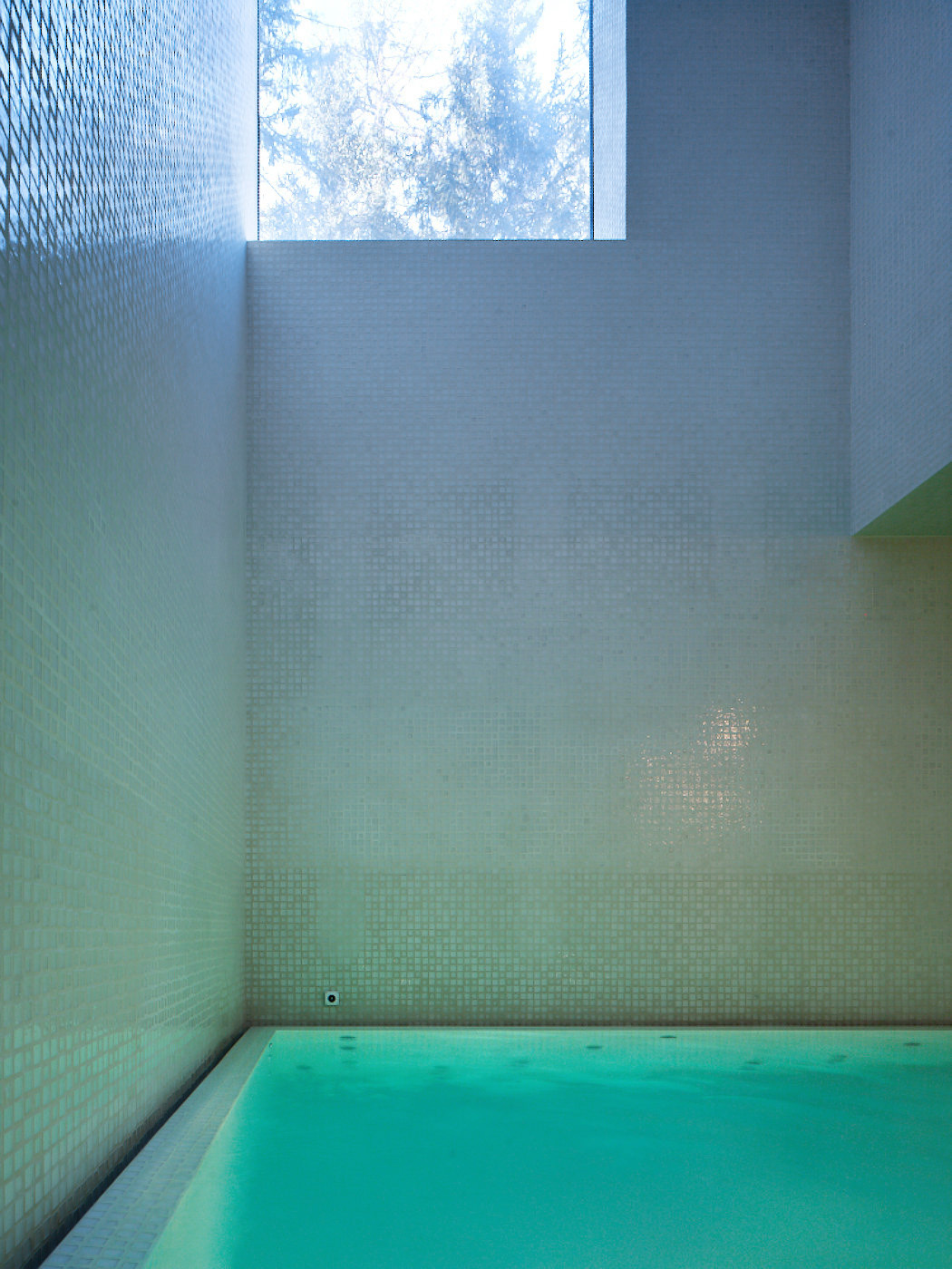 Ein Foto von Ruedi Walti