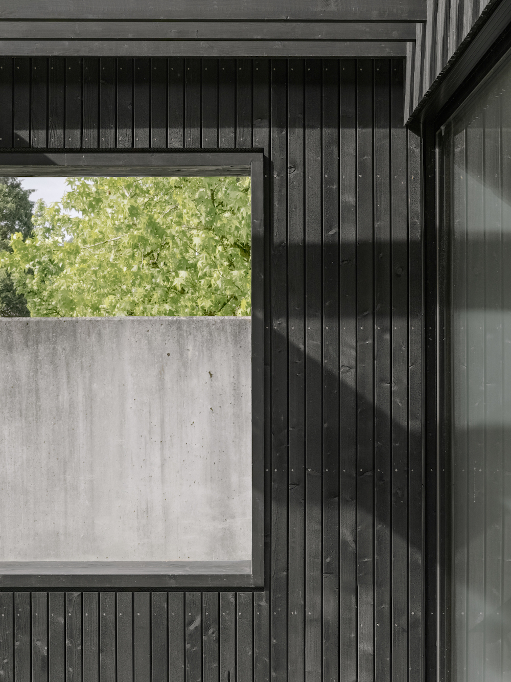 Ein Foto von Dominic Kummer