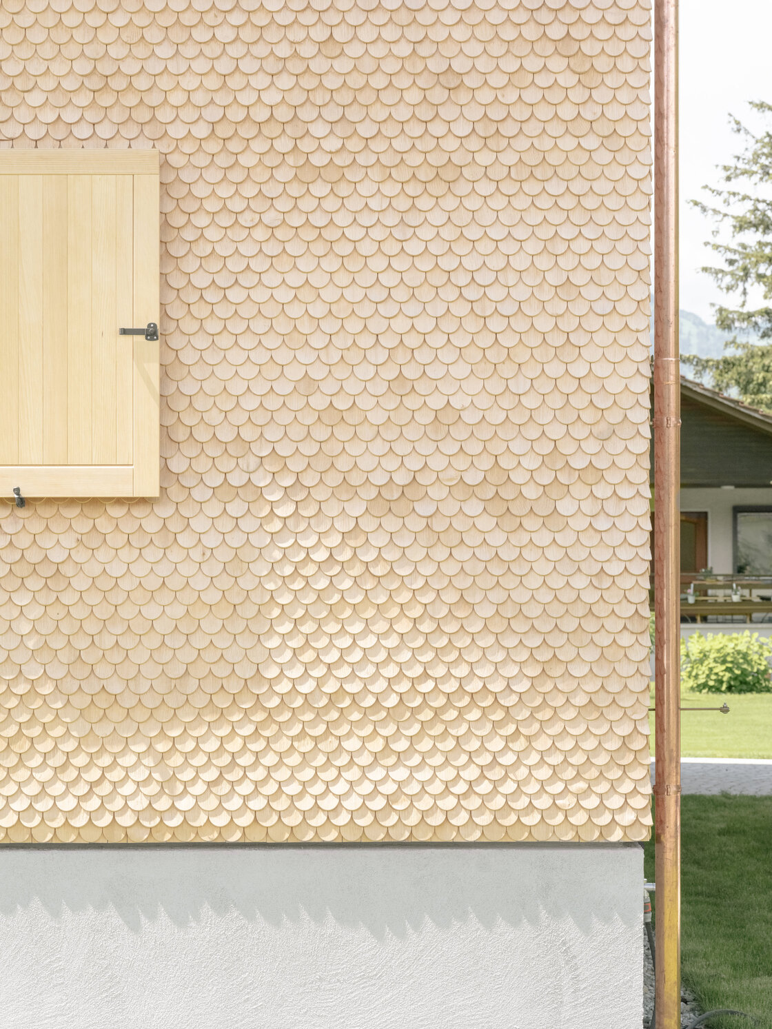 Ein Foto von Dominic Kummer