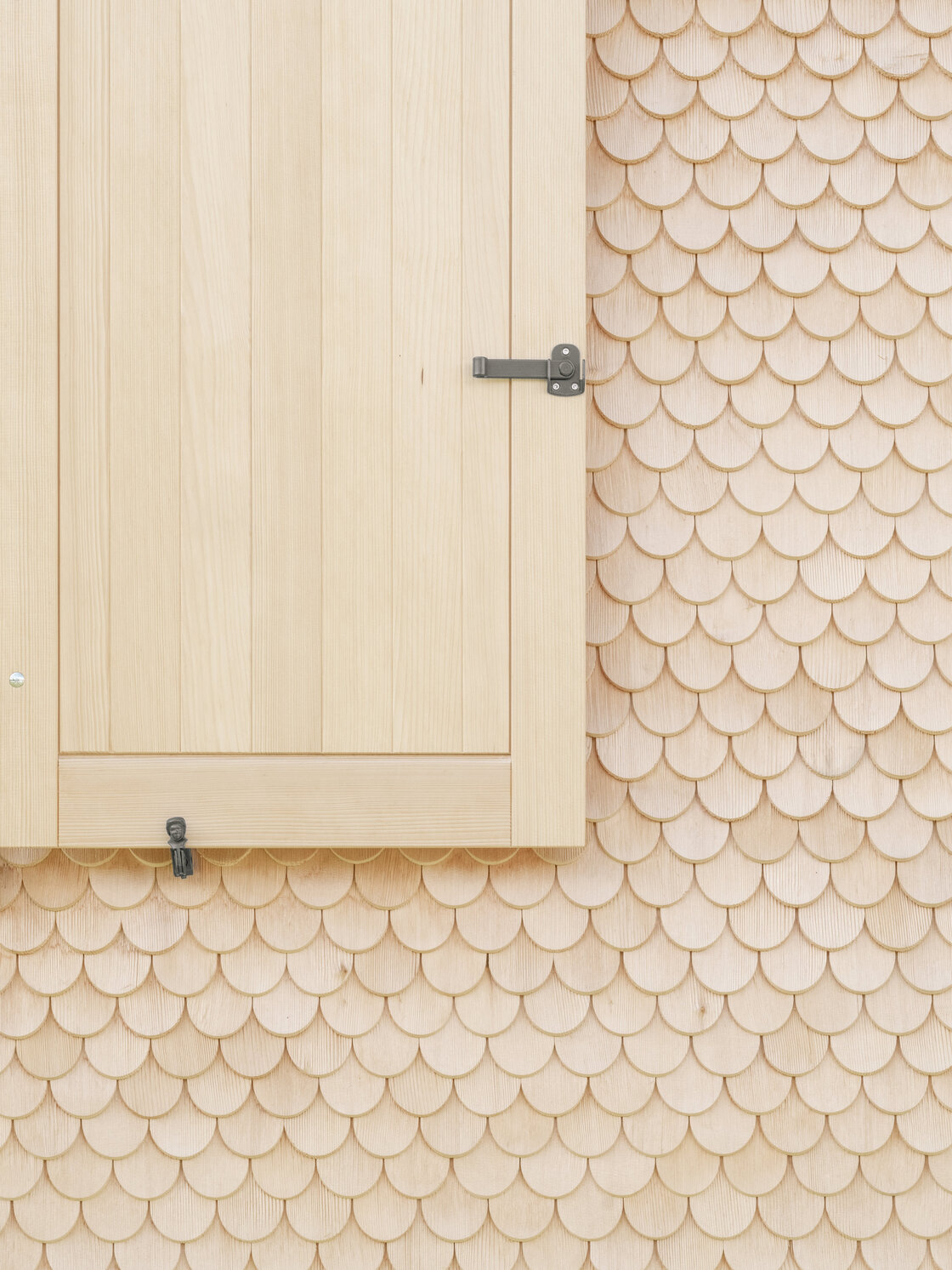 Ein Foto von Dominic Kummer