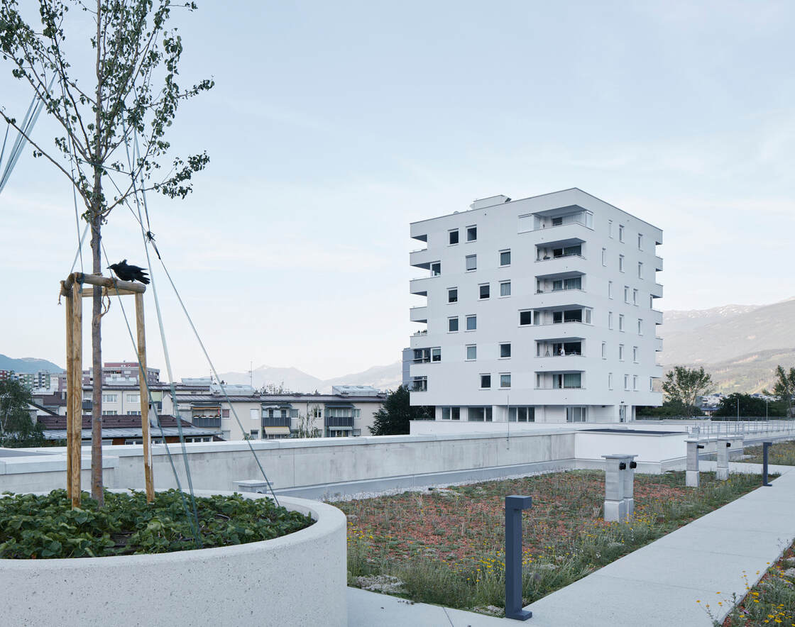 Ein Foto von David Schreyer