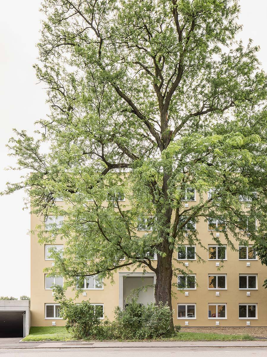 Ein Foto von tschinkersten