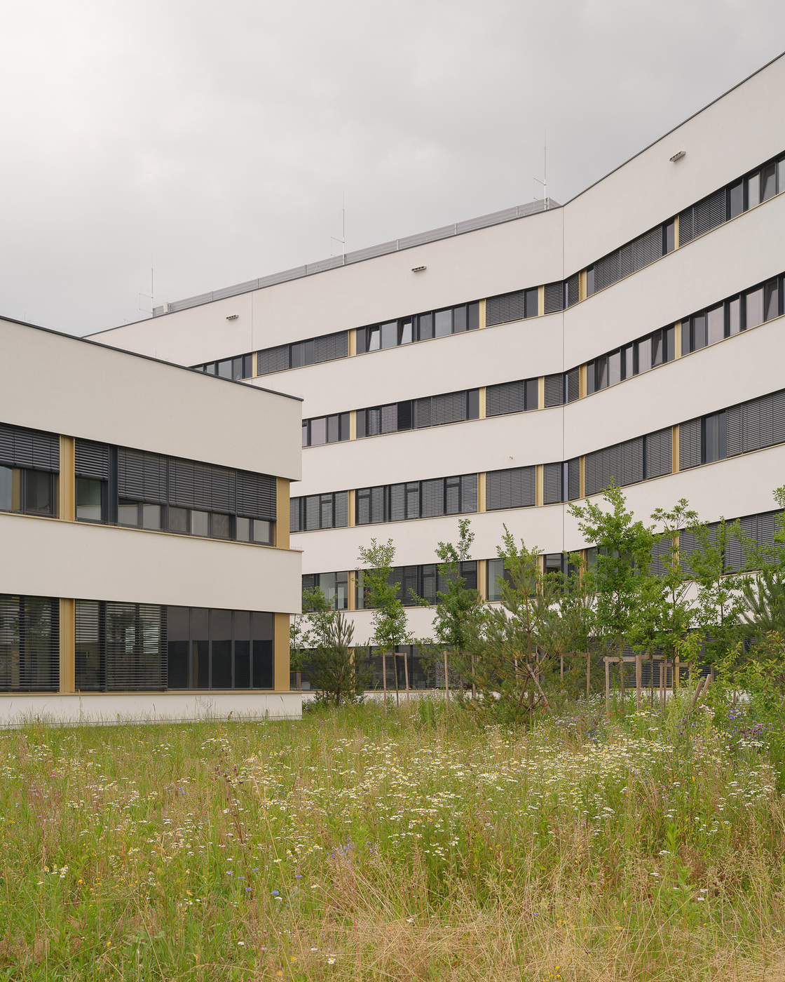 Ein Foto von Simon Oberhofer