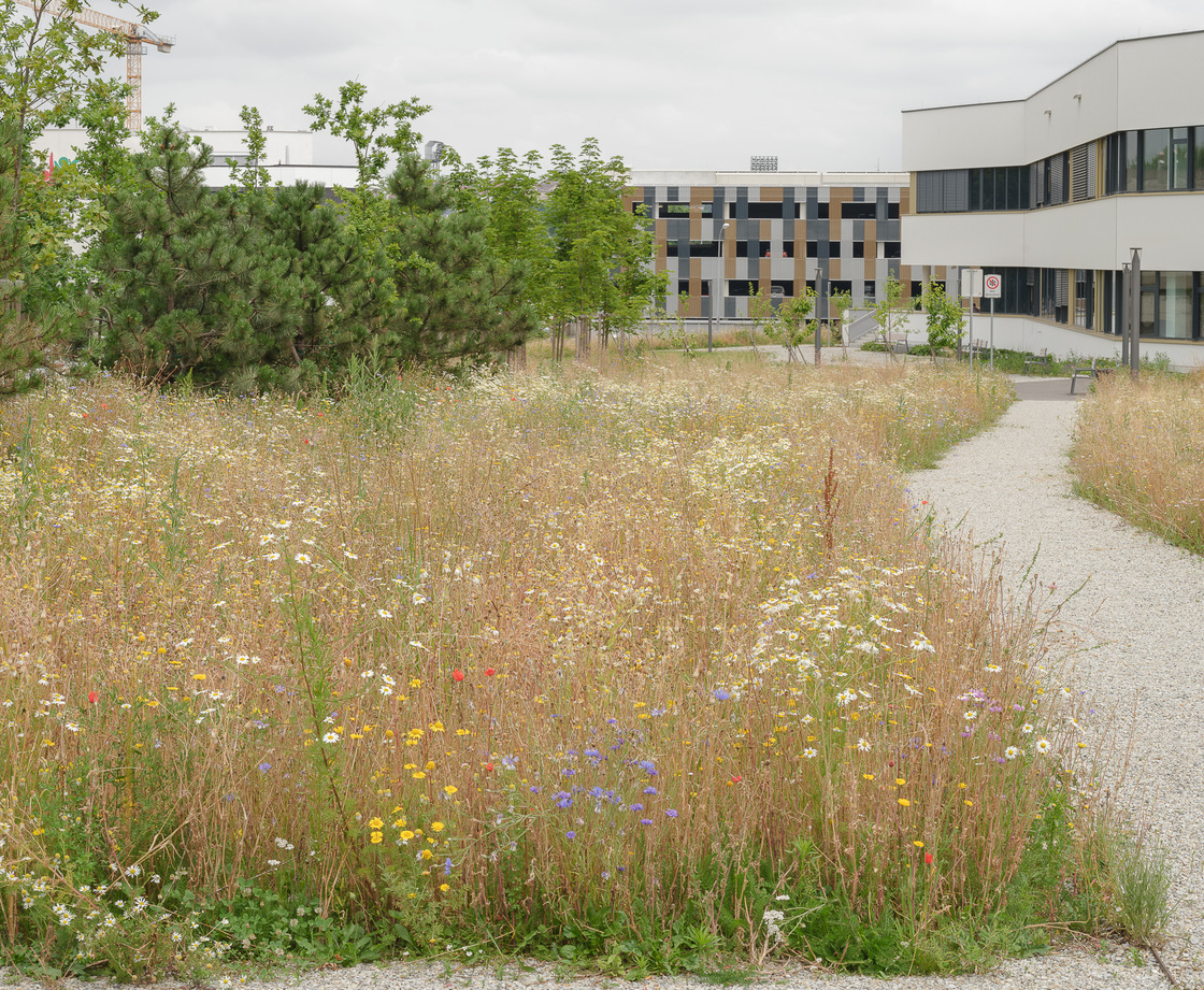 Ein Foto von Simon Oberhofer