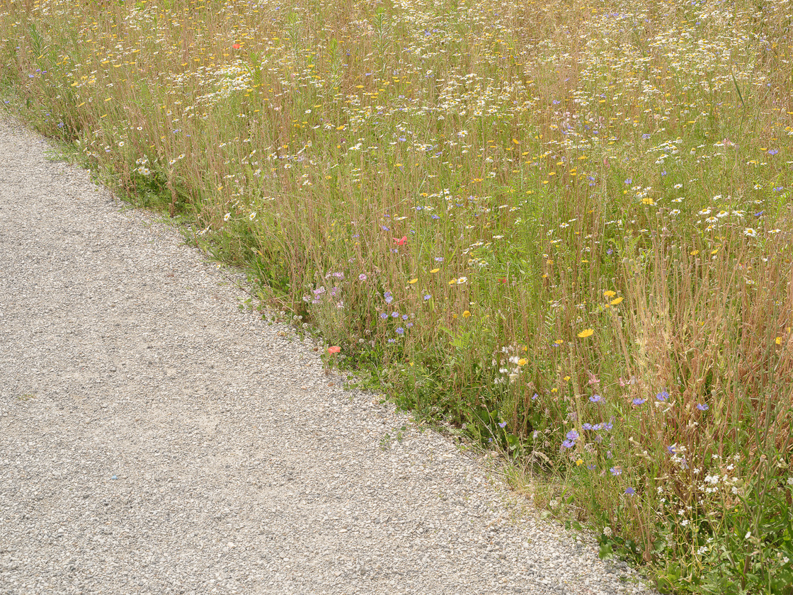 Ein Foto von Simon Oberhofer