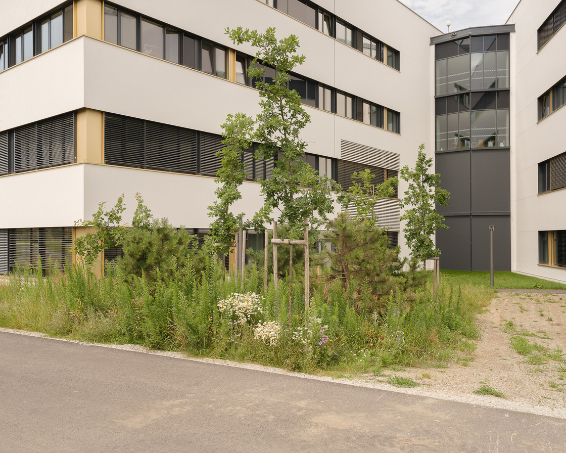 Ein Foto von Simon Oberhofer