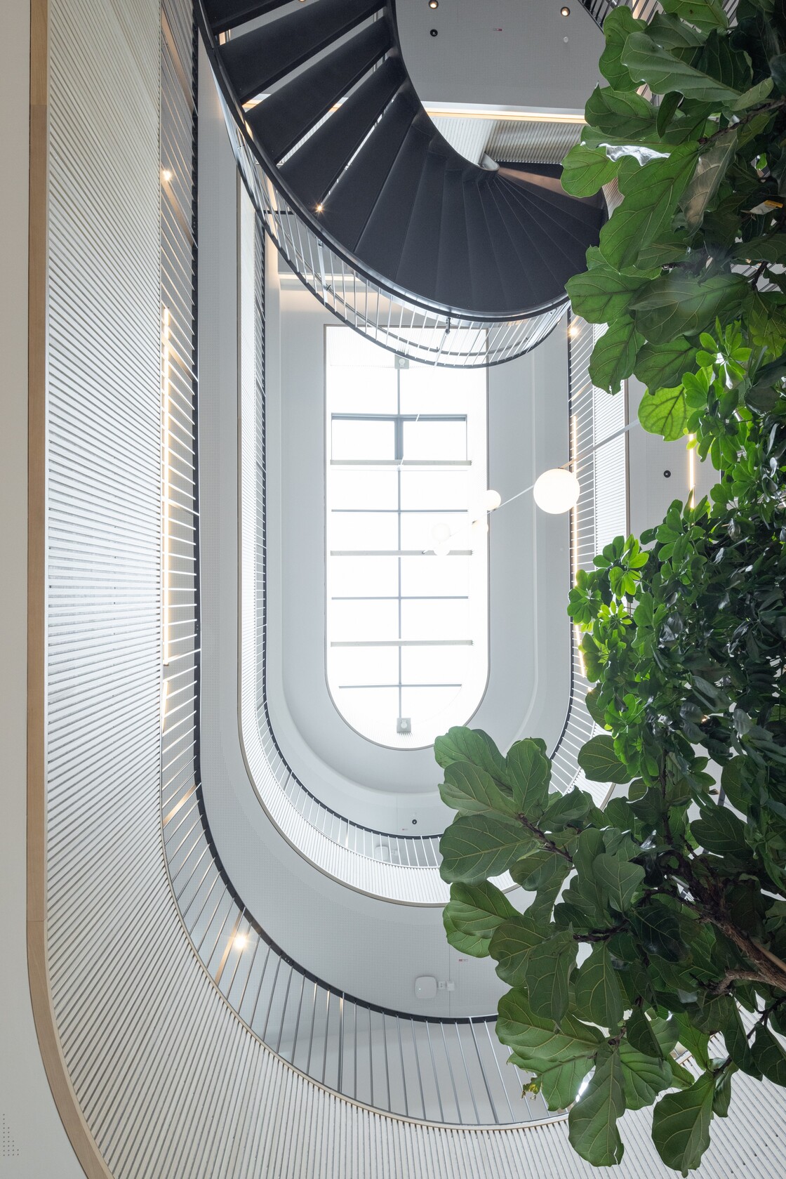 Ein Foto von Jorj Konstantinov