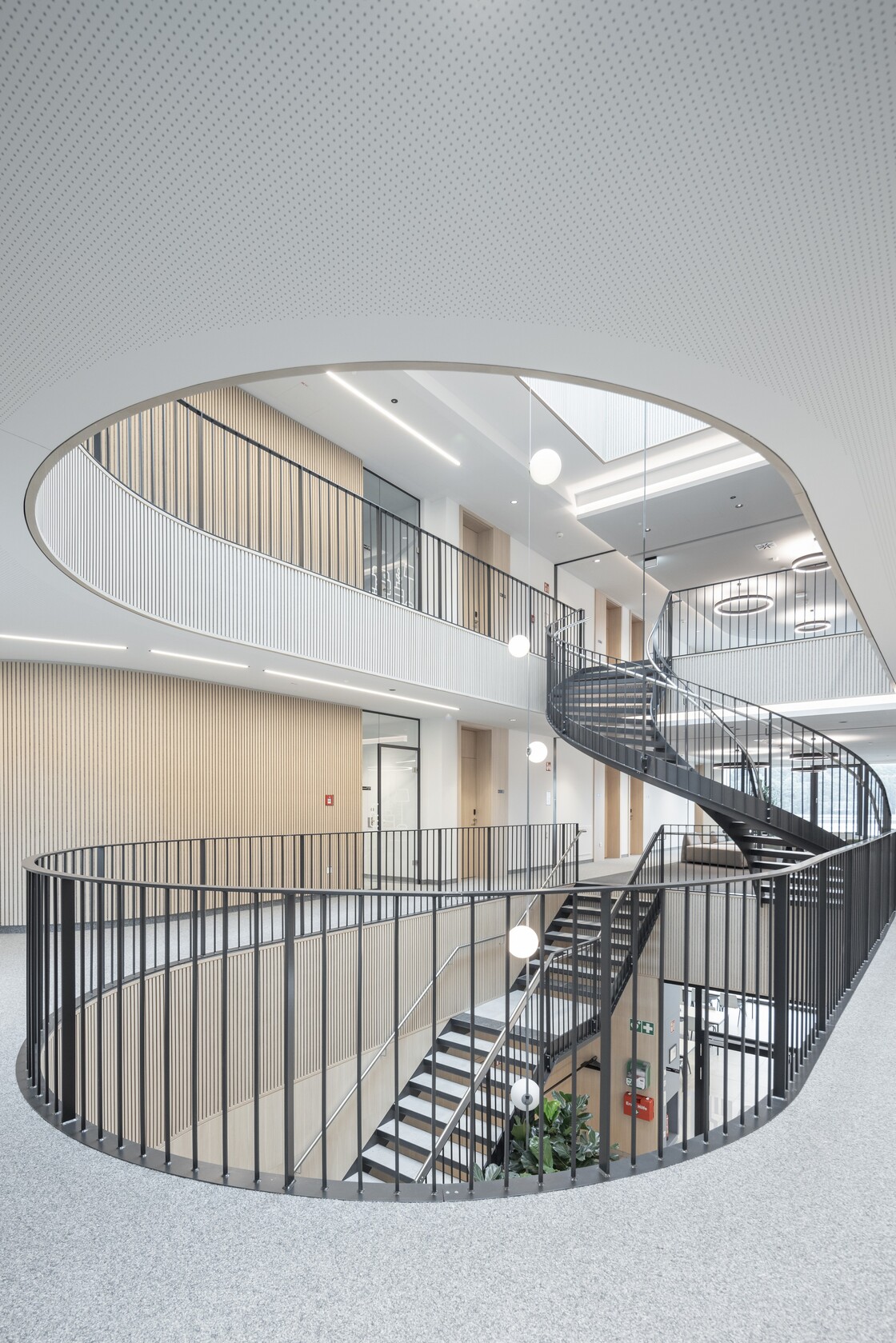 Ein Foto von Jorj Konstantinov