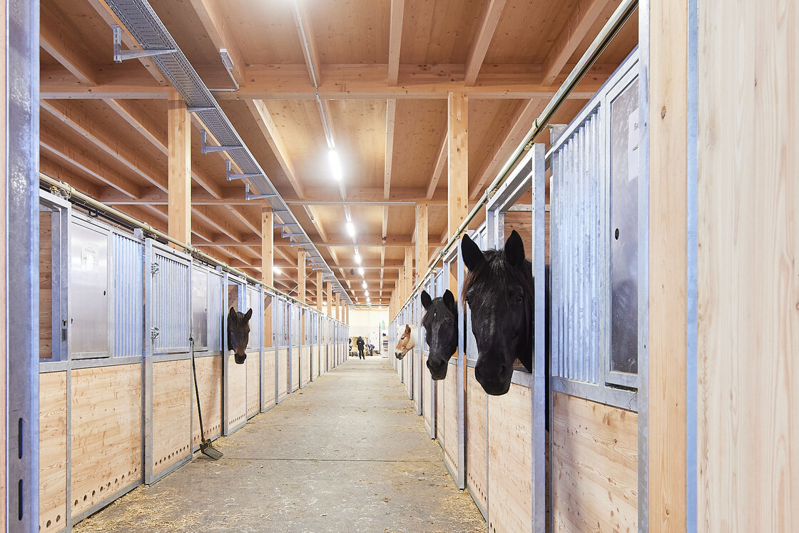 Ein Foto von EMILBLAU/Martin Geyer