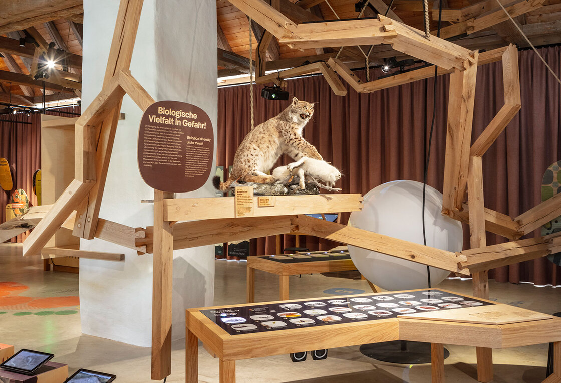 Ein Foto von Wolfgang Thaler