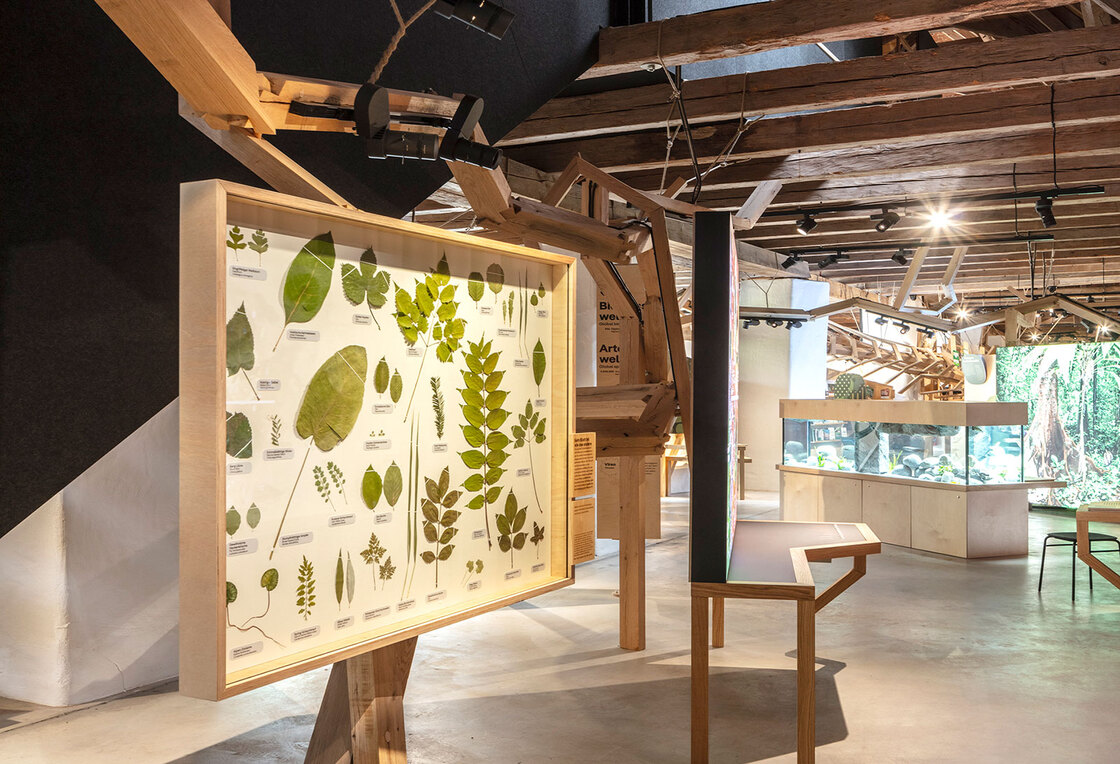 Ein Foto von Wolfgang Thaler