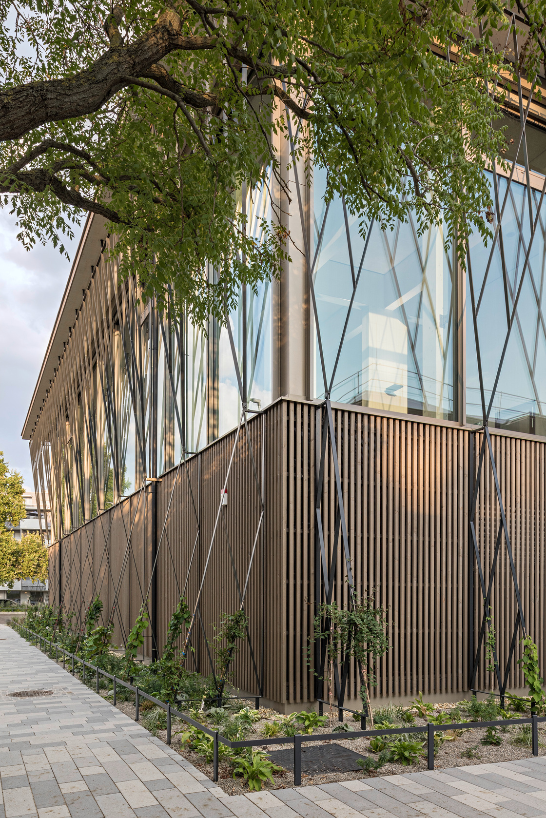 Ein Foto von Hertha Hurnaus