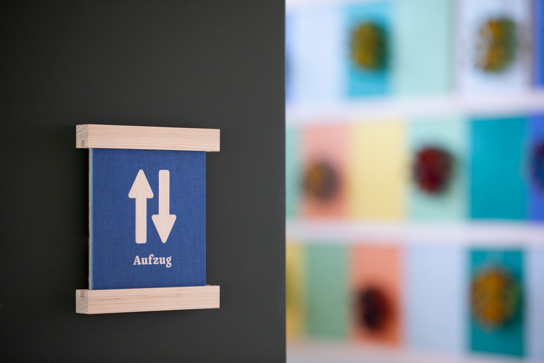 Ein Foto von Petra Rainer