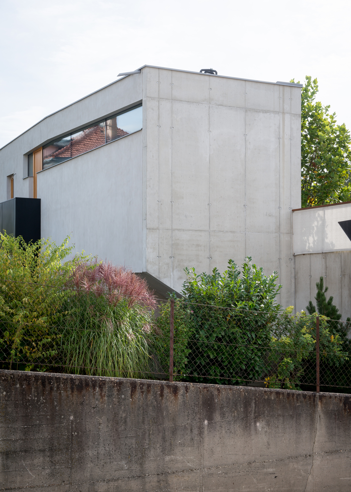 Ein Foto von Lukas Schaller