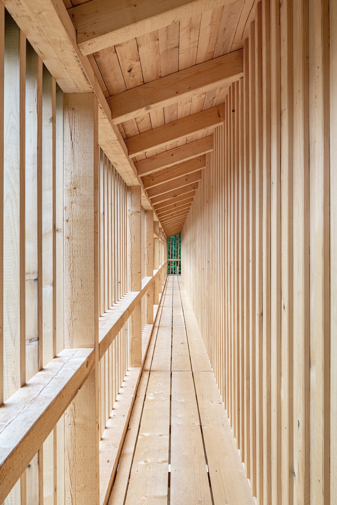 Ein Foto von Julia Wahl