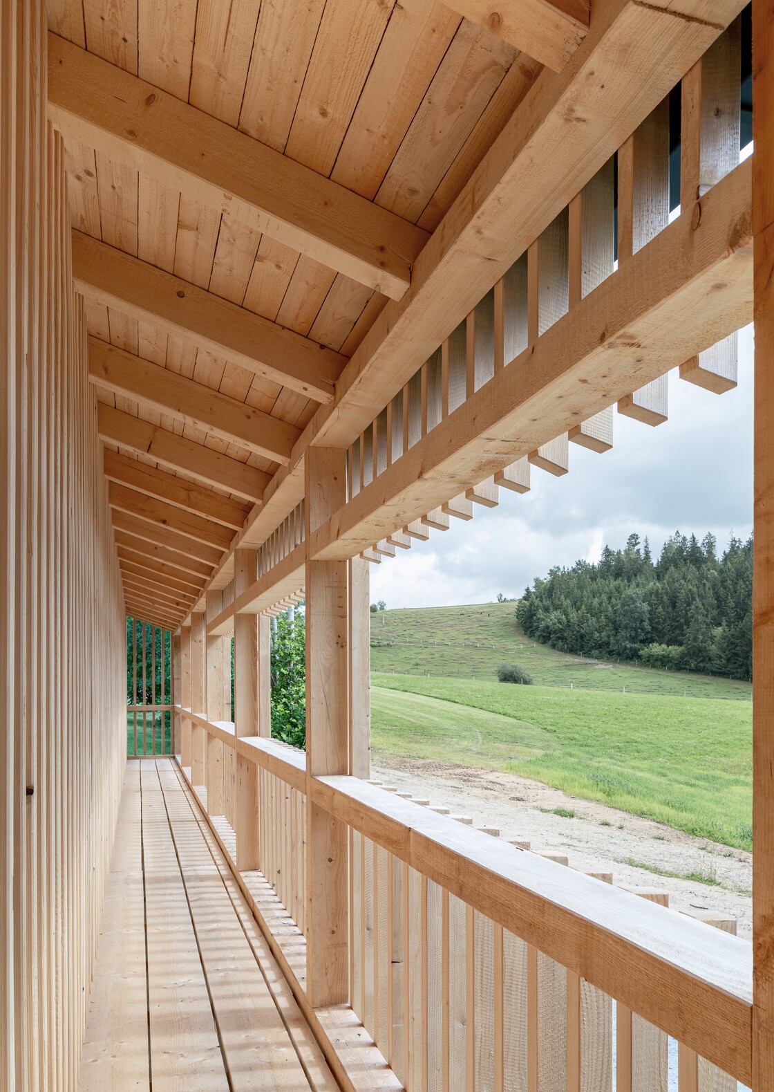 Ein Foto von Julia Wahl