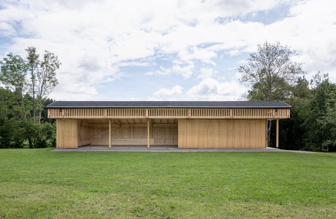 Ein Foto von Julia Wahl