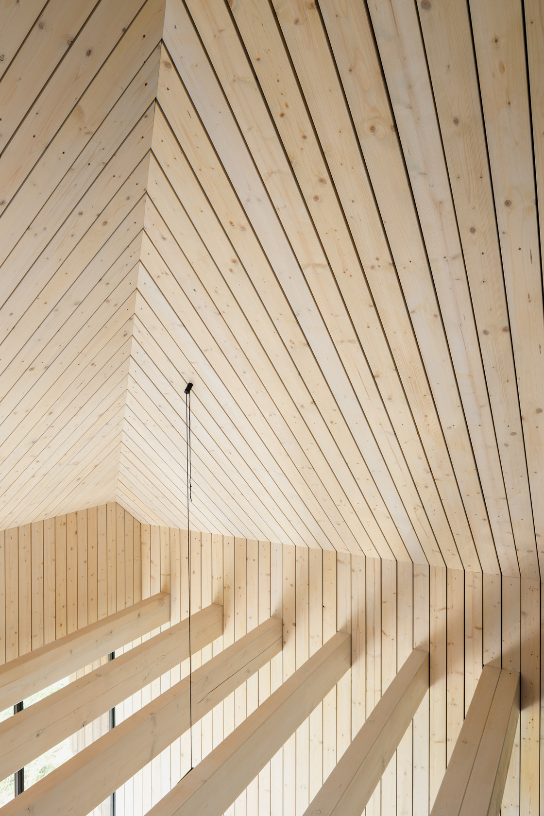 Ein Foto von Gregor Graf