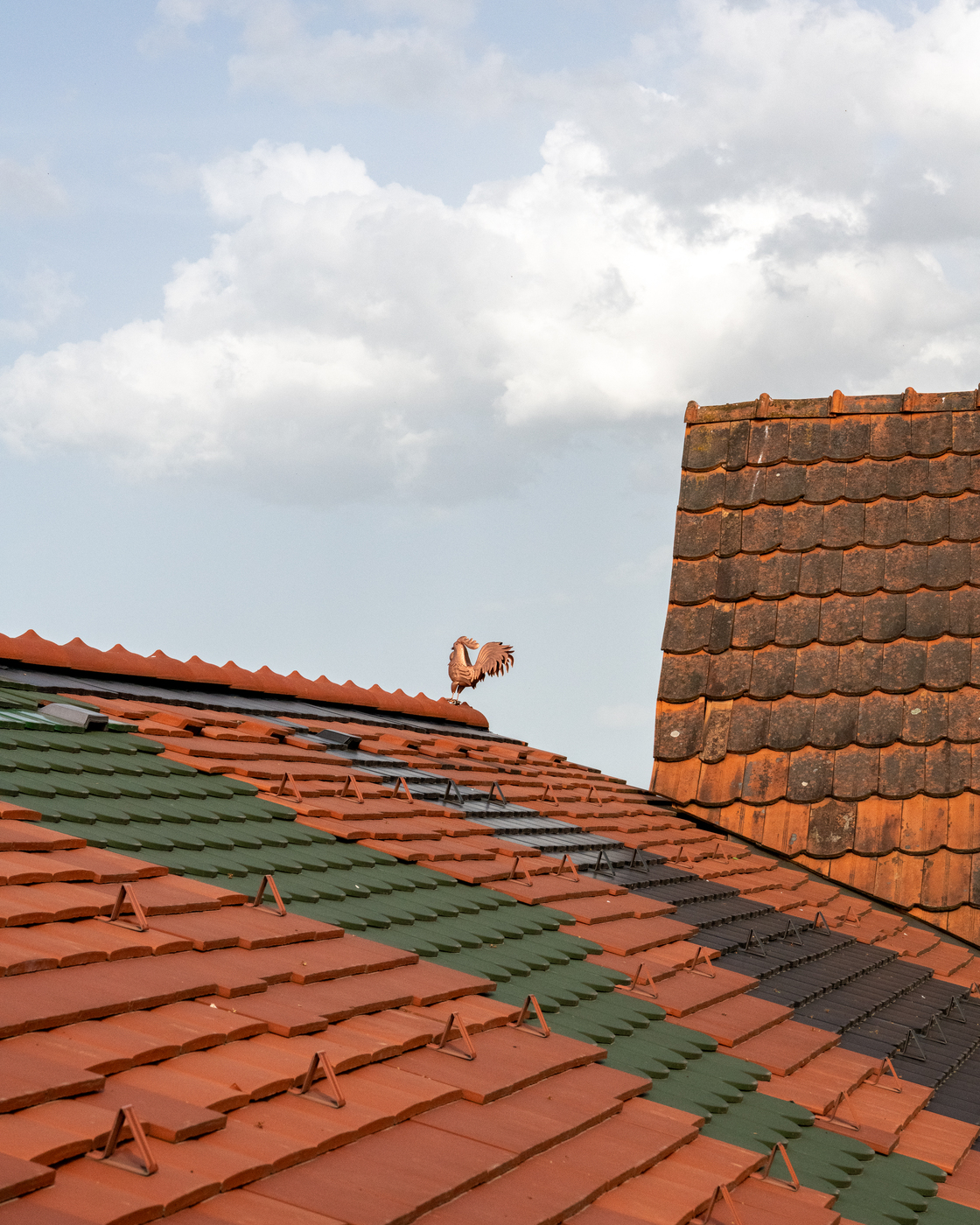 Ein Foto von Tom Biela