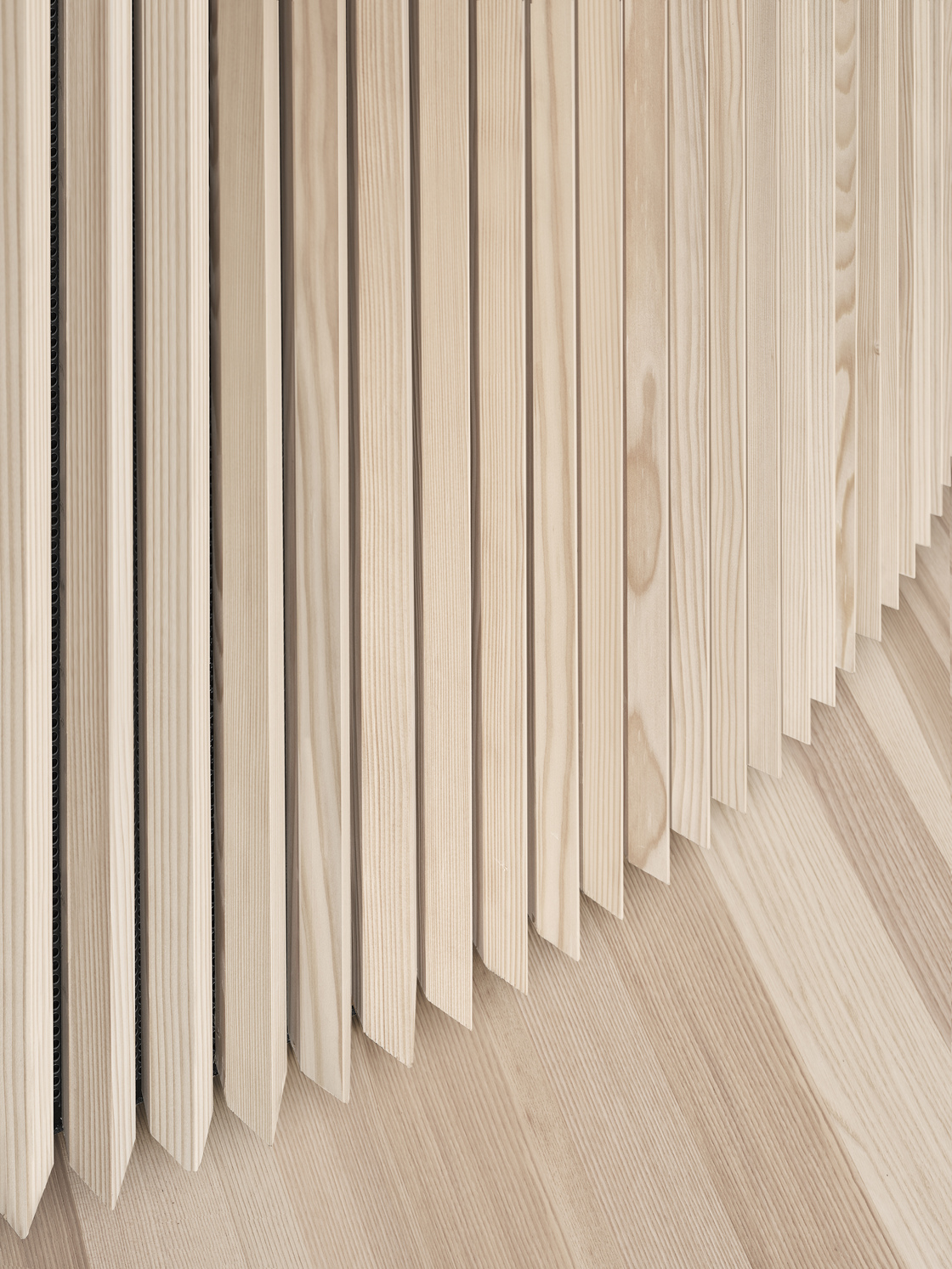 Ein Foto von Adolf Bereuter