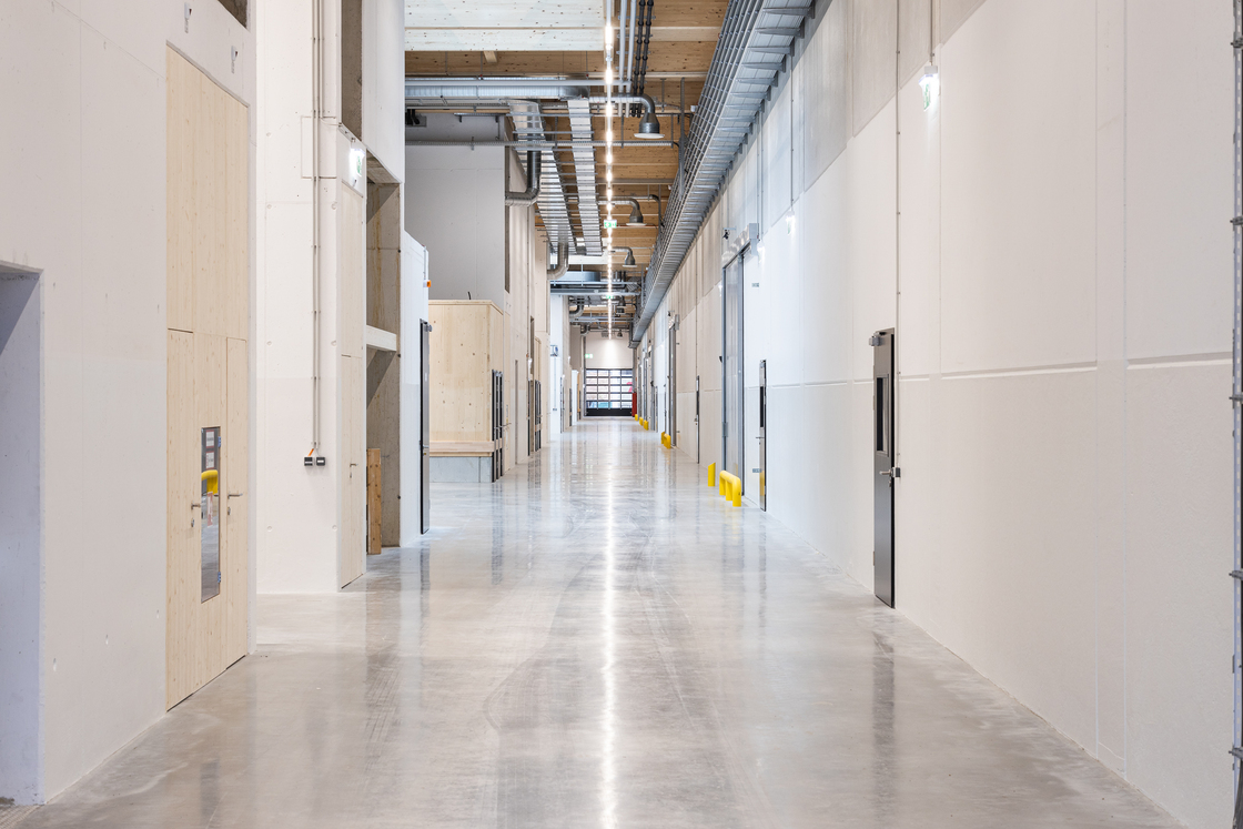 Ein Foto von Tom Bause