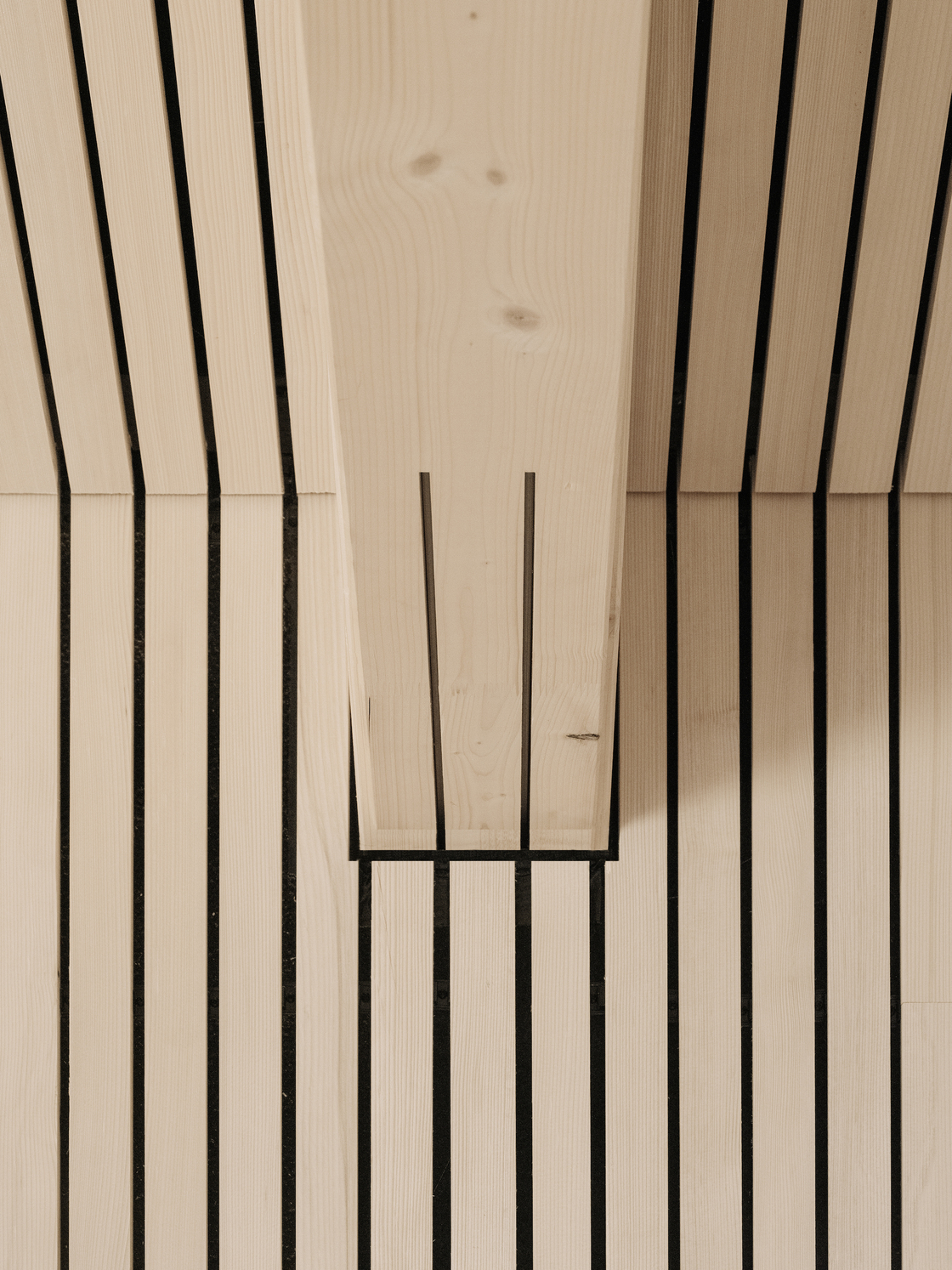 Ein Foto von Dominic Kummer