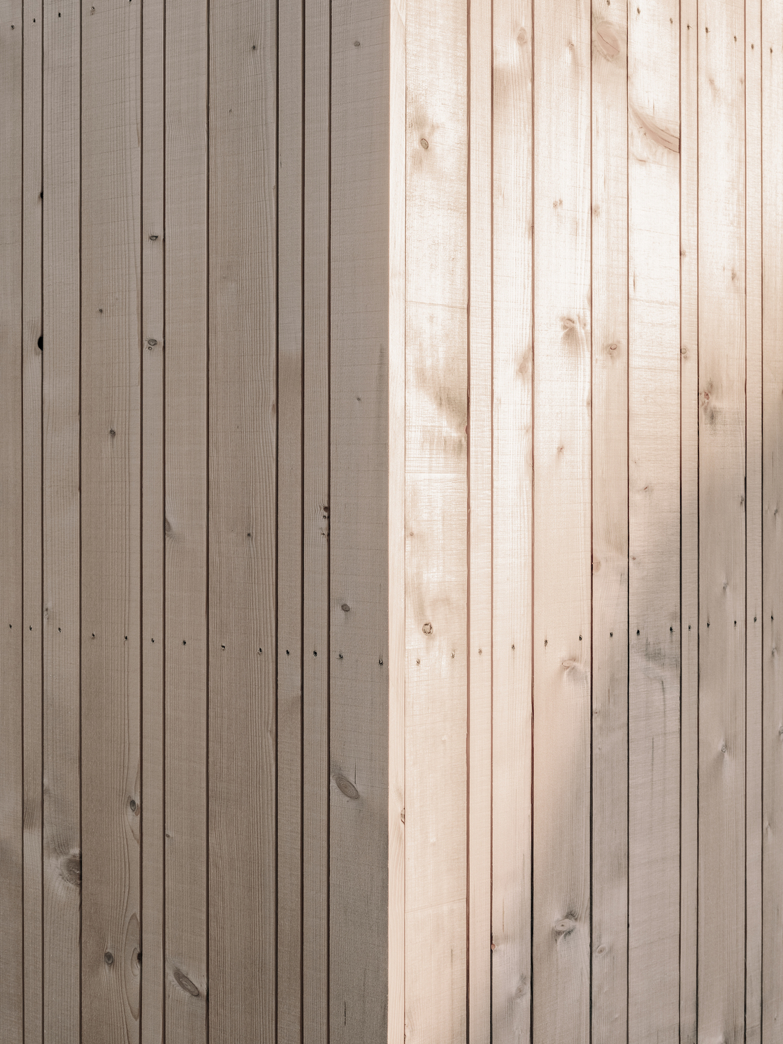 Ein Foto von Dominic Kummer