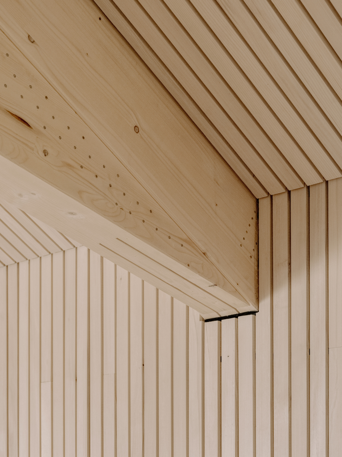 Ein Foto von Dominic Kummer