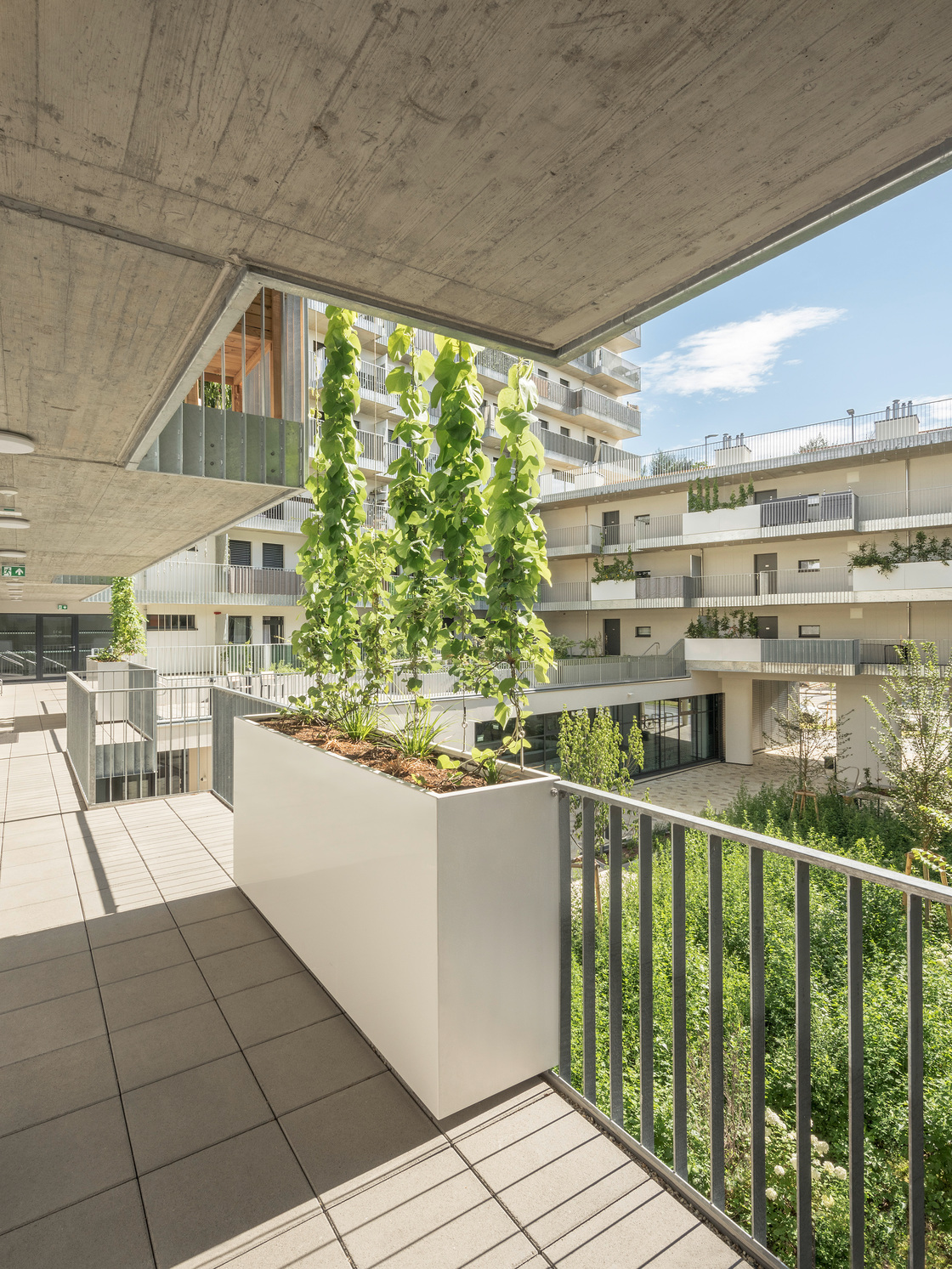 Ein Foto von Hertha Hurnaus