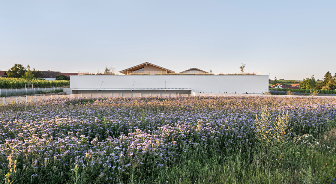 Ein Foto von Hertha Hurnaus