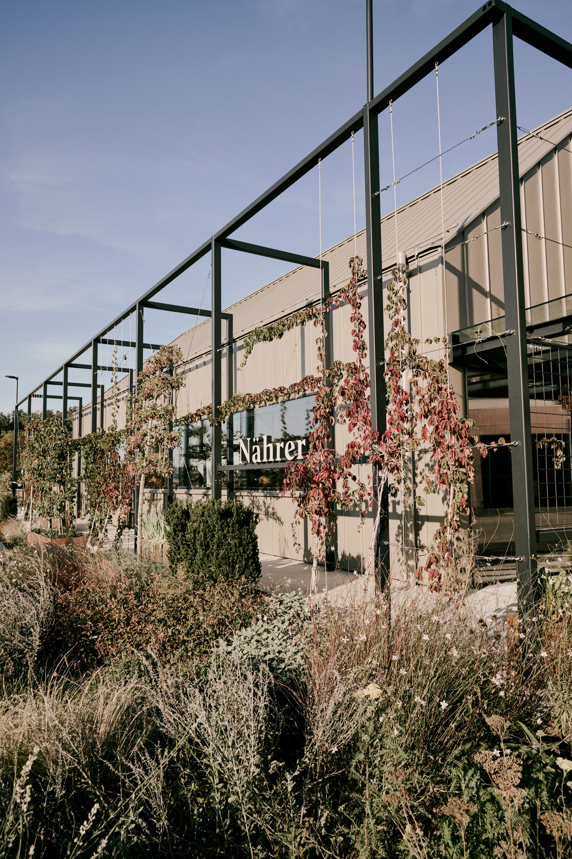 Ein Foto von Anna Arnet