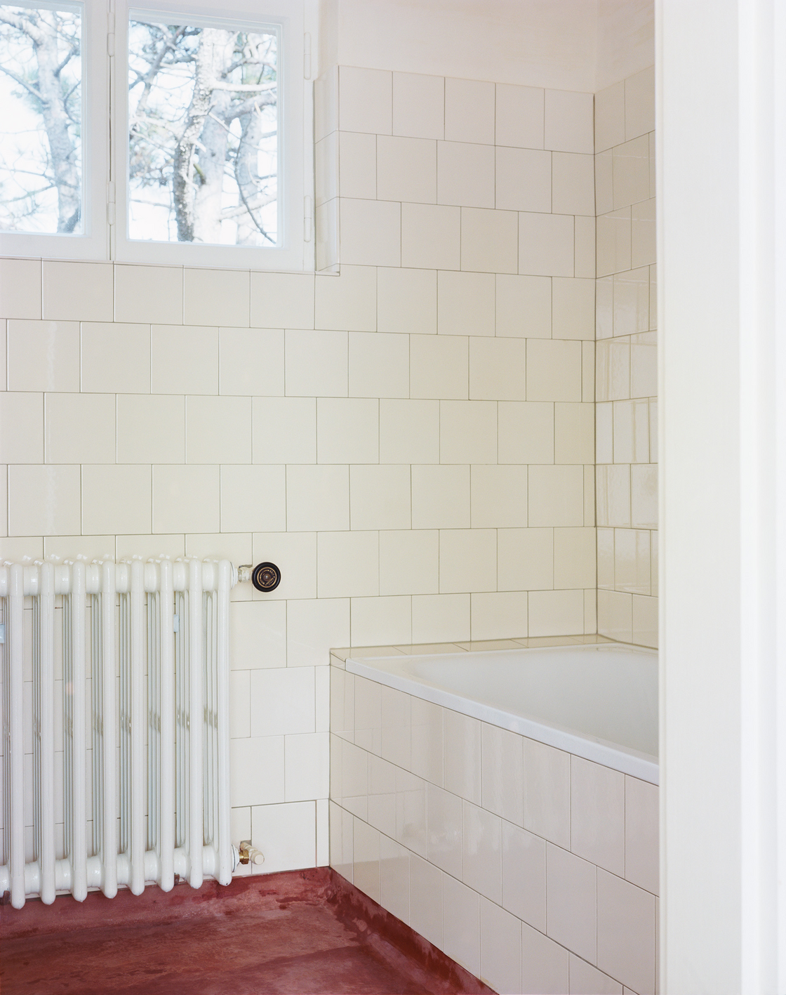 Ein Foto von Stefan Oláh