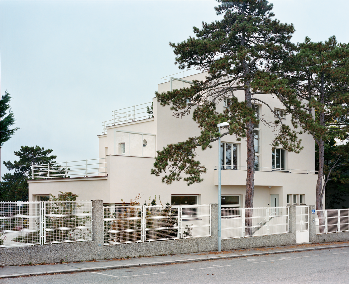 Ein Foto von Stefan Oláh