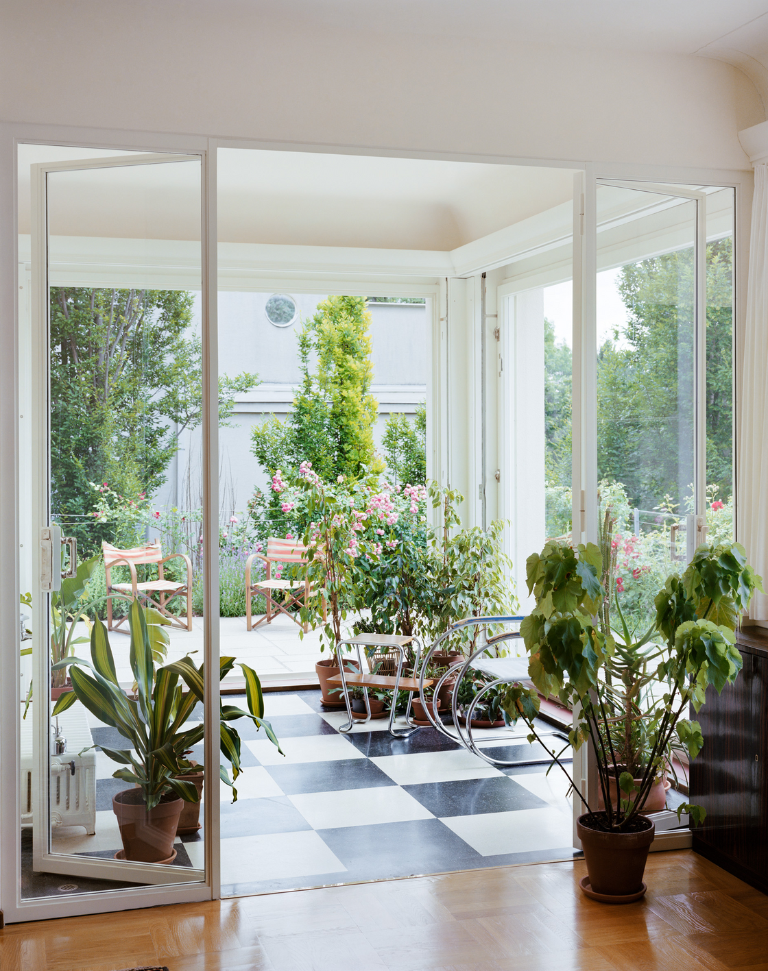 Ein Foto von Stefan Oláh