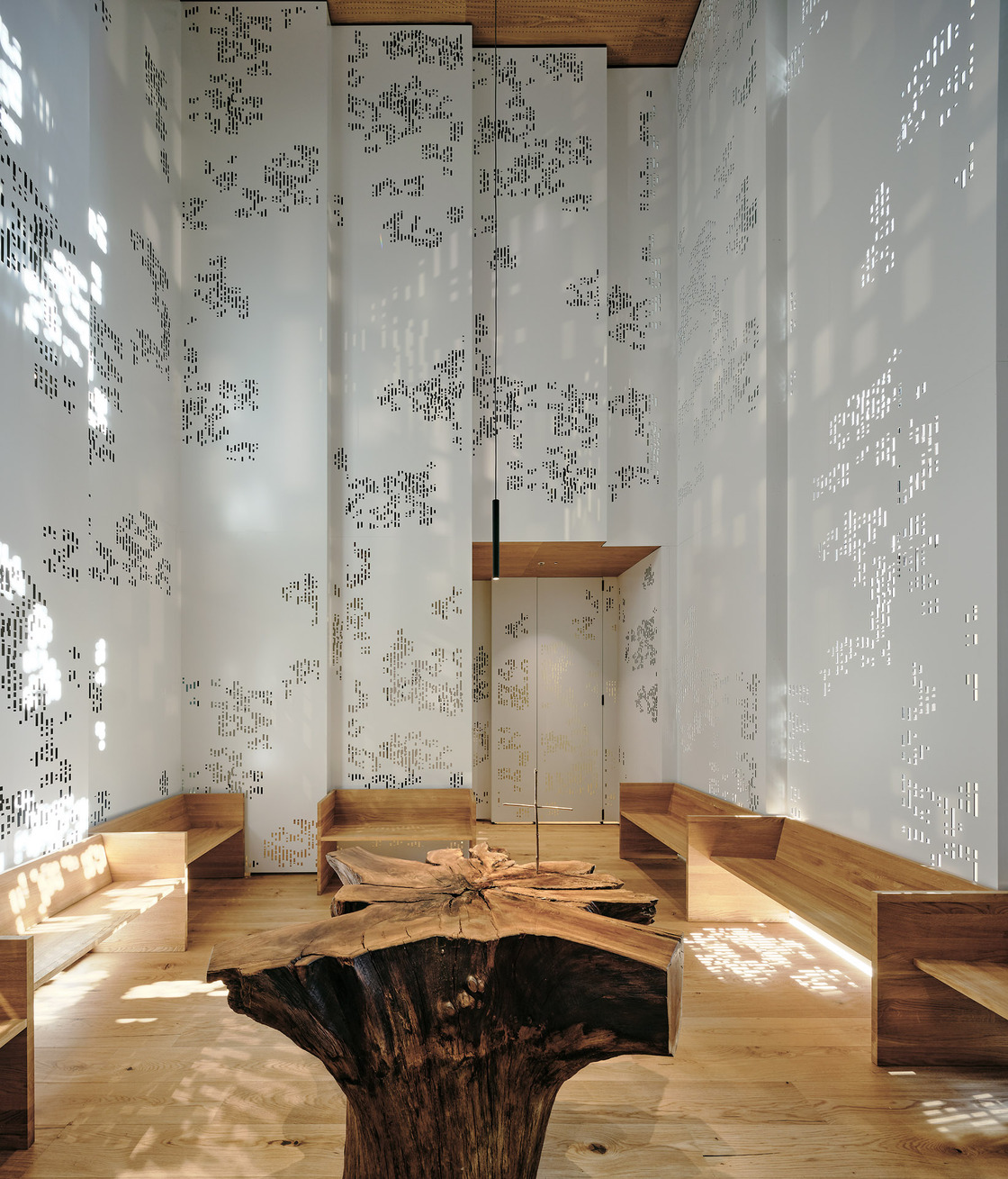 Ein Foto von Paul Ott