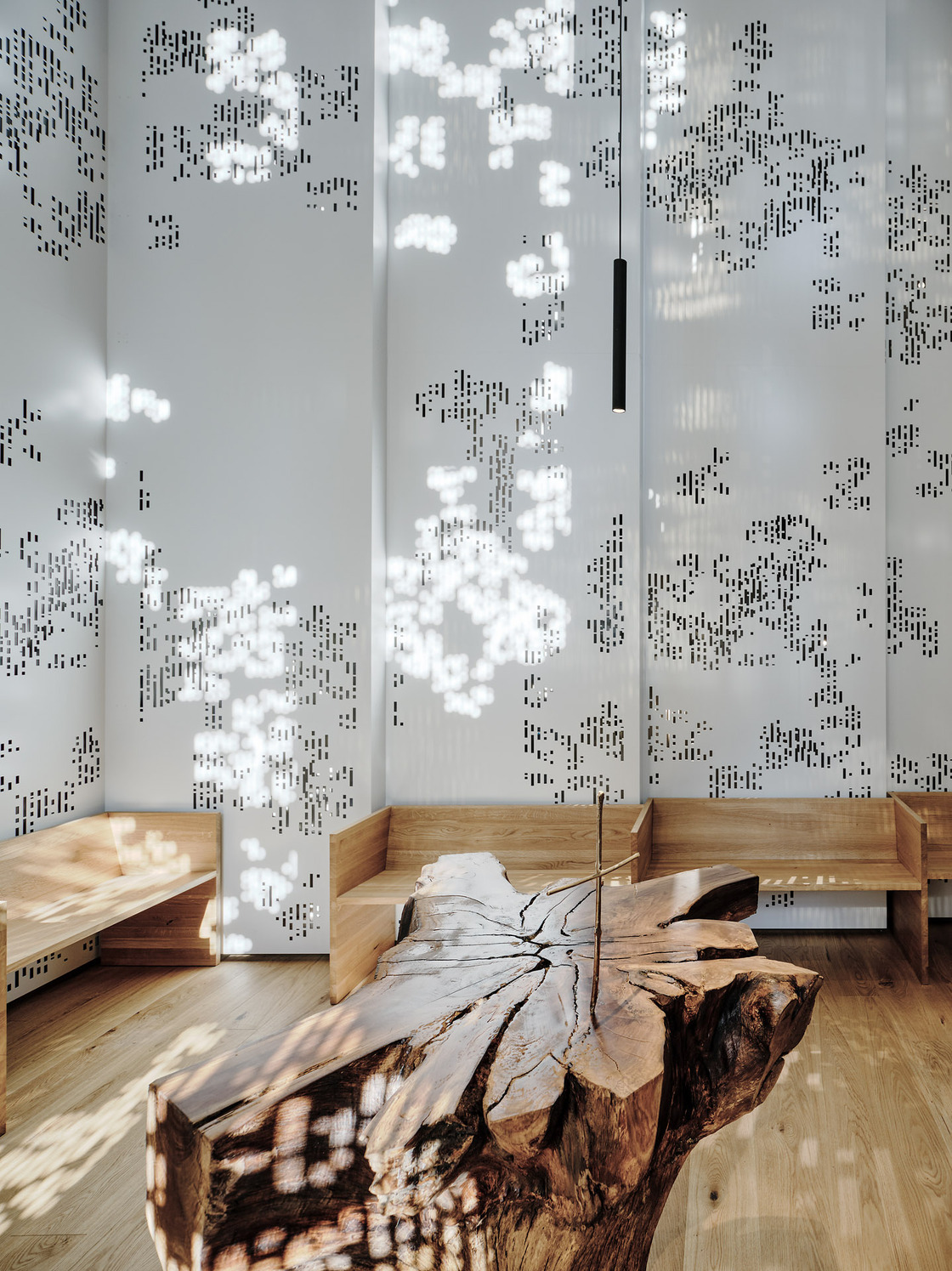 Ein Foto von Paul Ott