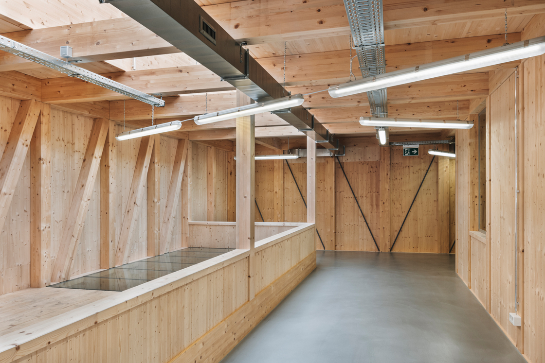 Ein Foto von Angela Lamprecht