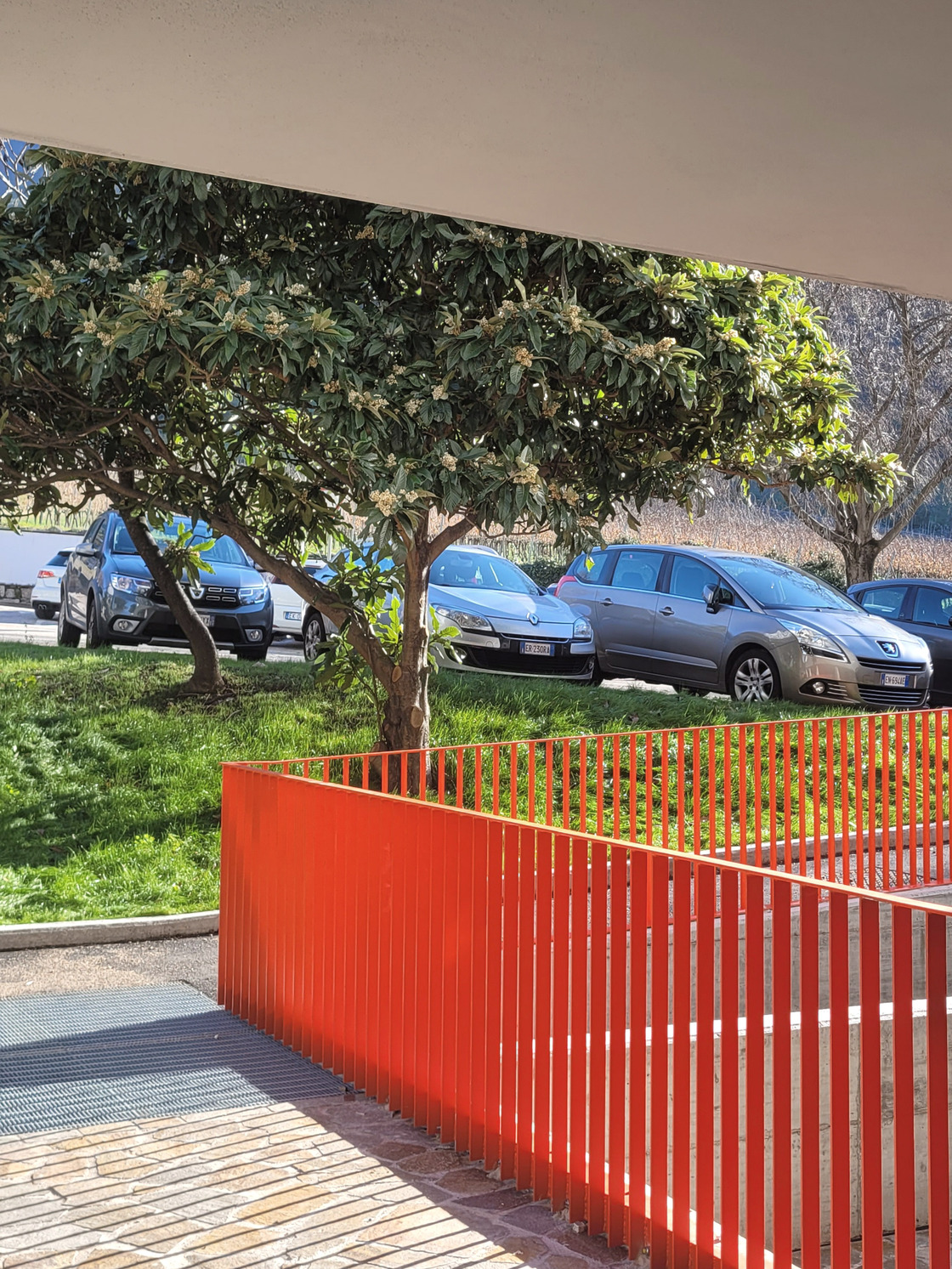 Ein Foto von Nicola Cagol