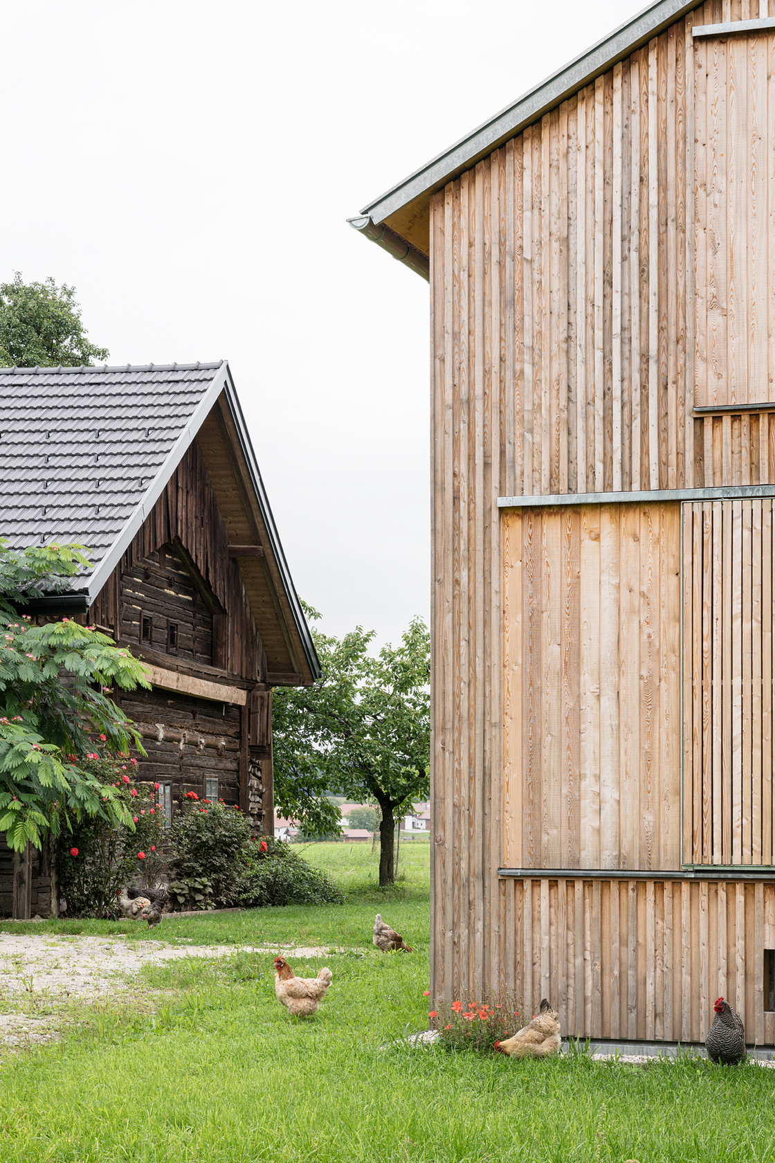 Ein Foto von Noah Santer