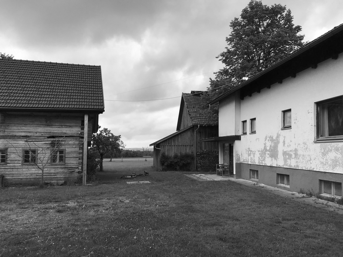 Ein Foto von Wolf Architektur