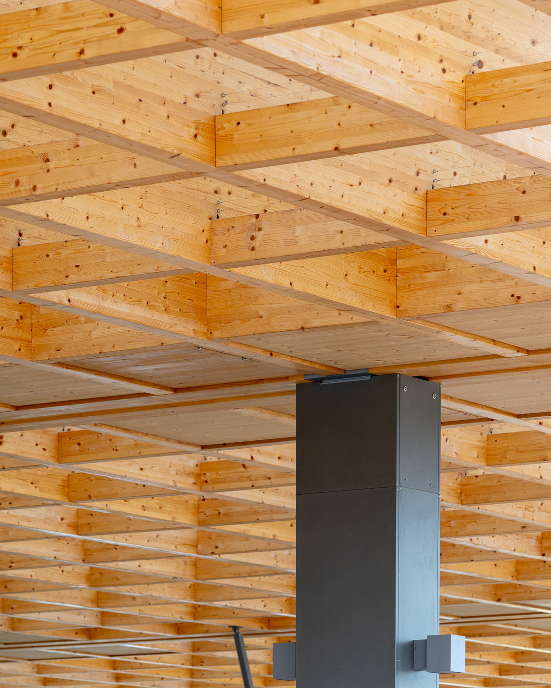 Ein Foto von Tom Biela