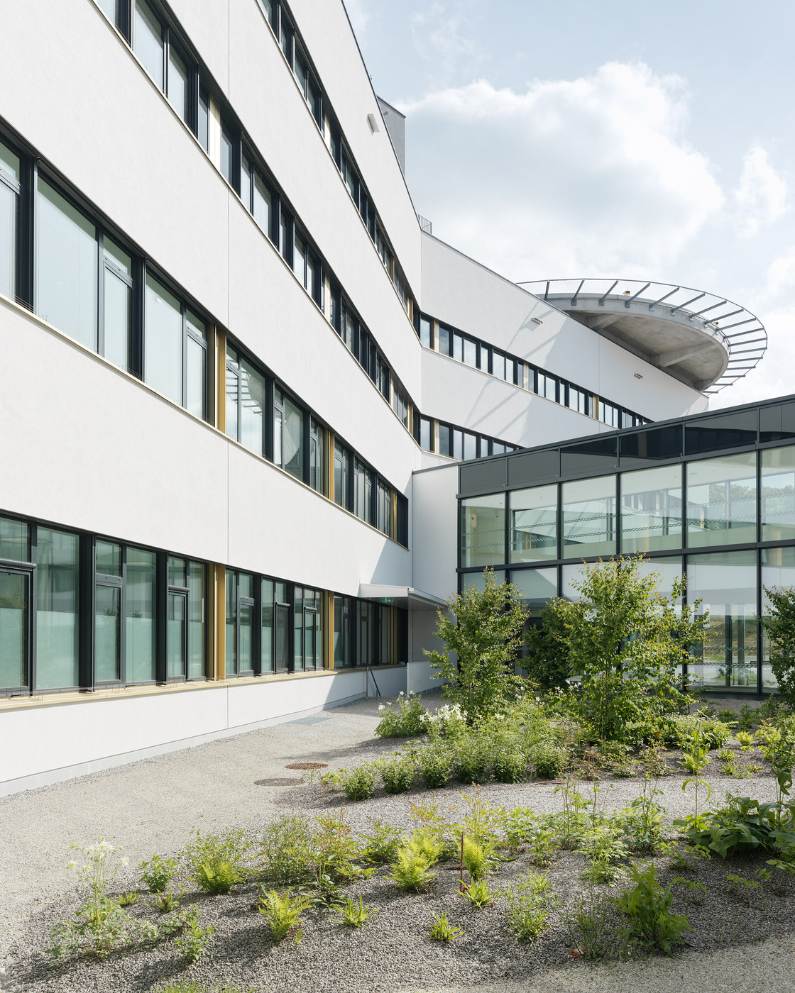 Ein Foto von Paul Ott