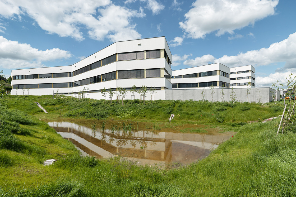 Ein Foto von Paul Ott