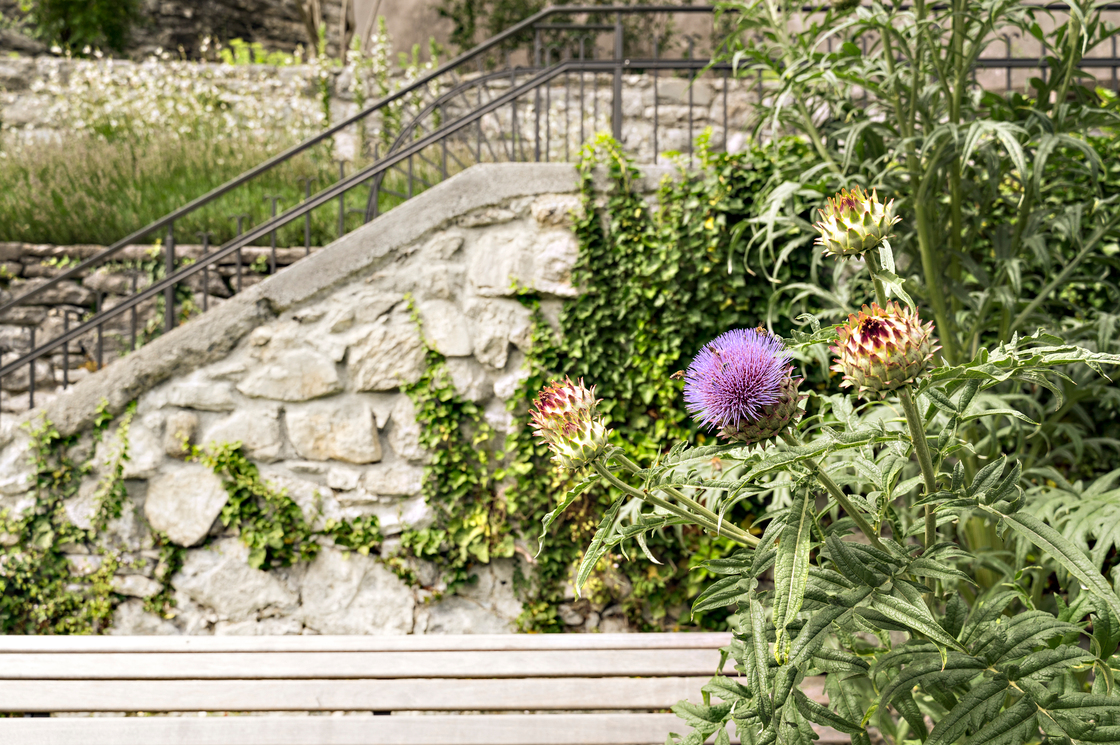 Ein Foto von Christa Engstler