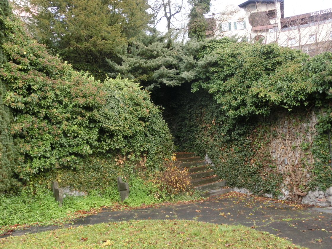 Ein Foto von Elisabeth Gruber