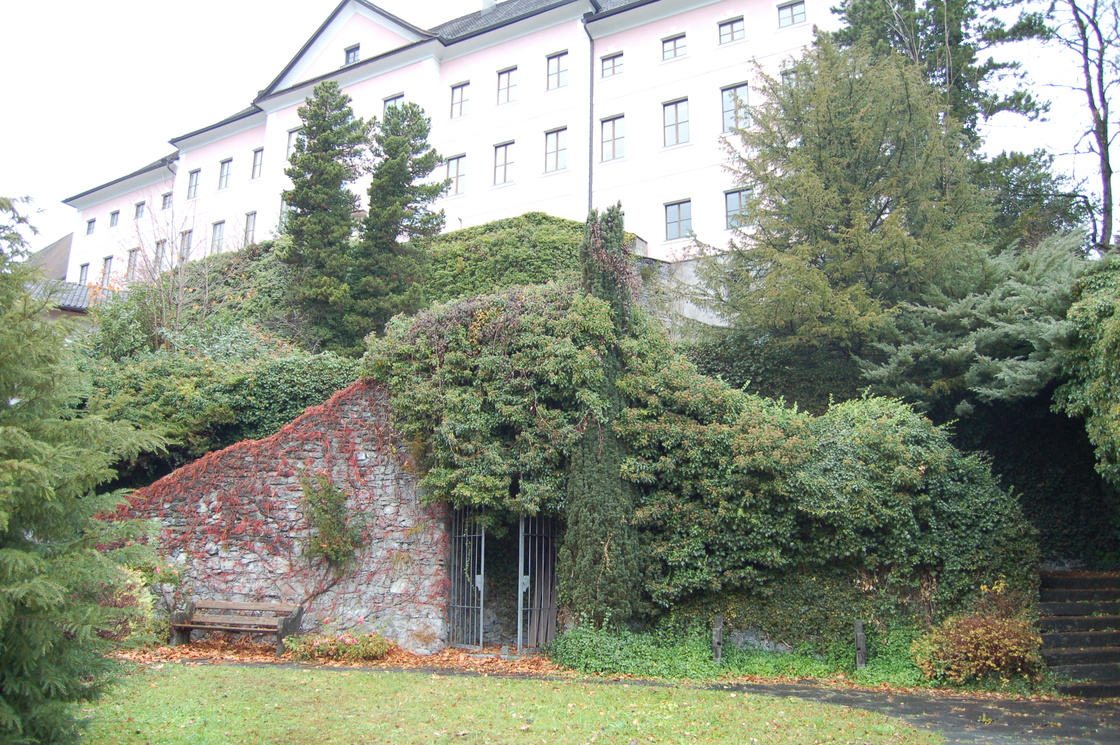 Ein Foto von Elisabeth Gruber