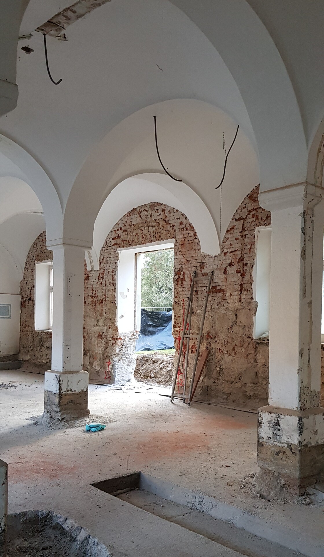 Ein Foto von Dietmar Moser